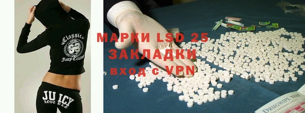 твердый Михайлов