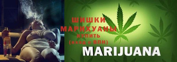 индика Михайловск