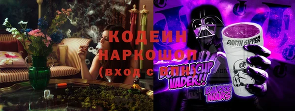индика Михайловск