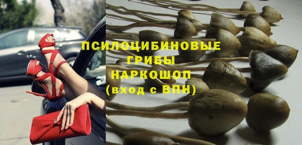 гашик Михайловка